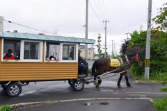 馬車を引き、公道を歩くフクスケ号（５日午前１０時５分ごろ、鉄南保育園付近）
