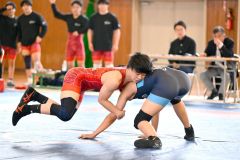 【団体戦・帯北－札幌東豊６５キロ級】帯北の小林冴祐（３年、赤色のシングレット）＝金野和彦撮影