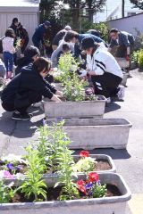 プランターに花を植える商店街関係者ら