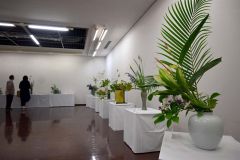 色とりどりの生け花が並ぶ会場（８日午前１０時４５分ごろ）