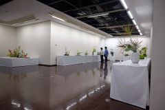 花展で展示されている作品とそれを見る客（８日午前１０時３０分ごろ、帯広市民ギャラリー））