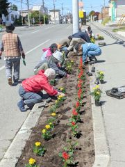 花植えをする太陽町内会の会員（佐藤豊会長提供）
