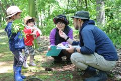 千畳敷公園を散策　音更で自然観察会