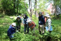띪千畳敷公園内を散策する参加者ら（左から２人目が案内役の根本さん、同５人目が川嶋さん、同６人目が岸本さん）