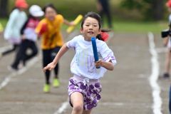 更別小学校運動会（８日、更別小学校。金野和彦撮影）