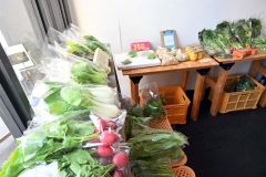 朝取り新鮮野菜が並ぶ産直マルシェ
