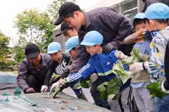 高校生に教えてもらいながらサツマイモの苗を植える園児
