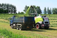 並走して1番牧草を収穫するハーベスターとダンプ(清水町で、12日午前8時ころ撮影)