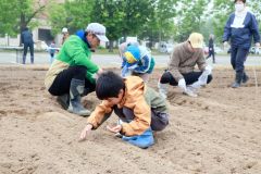コスモスガーデンで種まき　大樹 3