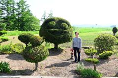 庭のオンコの木で人の顔や鳥を形作っている高橋さん