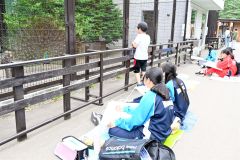 羽を広げたクジャクを観察する参加者（１５日午前１０時１０分ごろ）