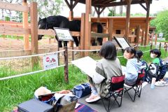 「馬ふれあい舎」でばん馬を観察する参加者（１５日午前９時５０分頃）