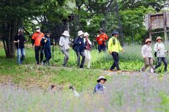 大丸山森林公園を散策　広尾でウオーキング教室 2