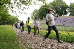 大丸山森林公園を散策　広尾でウオーキング教室