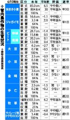 秋まき小麦やや早く生育　６月前半作況　十勝総合振興局