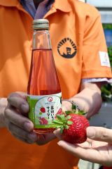 幕別いちごサイダーと原材料に使用された幕別いちご園のイチゴ