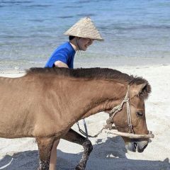 東盛さんと与那国馬（東盛さん提供）