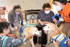 セラピー犬と触れ合い　脳いきいき教室　新得わすれん塾