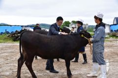 陸別 グランドチャンピオンは編田牧場 陸別町家畜共進会 4