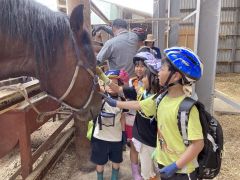 メグミファームでばん馬に親しむ児童ら