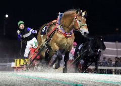力強い末脚で柏林賞を制したタカラキングダムと金田騎手(ばんえい十勝提供)