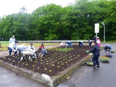 花を植える部員（上士幌町商工会提供）