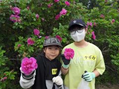 ハマナスの花を手にする児童