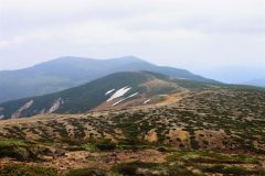 夏らしいのどかな風景と山道が続く