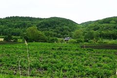 長流枝ＳＩＣの建設予定地。奥に見えるのは道東道と既設のボックスカルバート