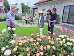 華麗なバラガーデン見頃　新得の佐久間さん
