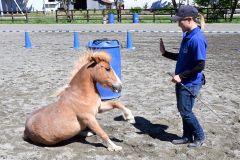 トレーニングに励むポピーと上江洲さん