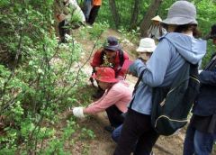 なぜ光合成しないの　ギンリョウソウ学ぶ　本別で自然観察会 3