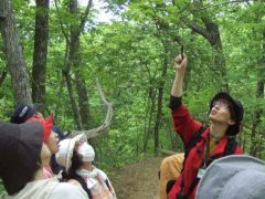なぜ光合成しないの　ギンリョウソウ学ぶ　本別で自然観察会 4