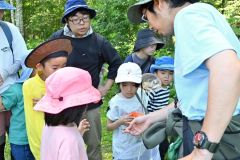 捕まえた虫について斎藤さんから説明してもらう参加者