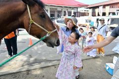 ばん馬と触れ合う子どもたち