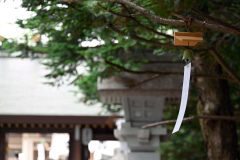 境内の至る所に掛けられている風鈴（３０日午後３時５０分ごろ、帯廣神社）