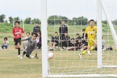 しんとく、帯広ＦＣ、プログレッソ　道大会進出　全道Ｕ―１２サッカー十勝地区予選