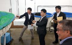 排熱を活用して養殖するチョウザメを見学する武村副大臣（中央）