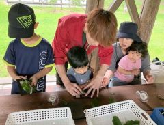 ネイチャーゲームで樹木に触れ、自然を楽しむ児童ら
