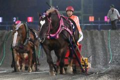 渡会心路騎手の激励に応え、驚異の粘りで「一冠目」を制したホクセイハリアー
