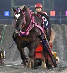 「額にハート」のホクセイハリアー重賞初制覇１冠目、ばんえい大賞典