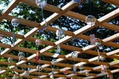芽室神社を夏の風物詩で彩る　新たな写真スポットに　華音実行委 2