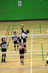 十勝ＪＶＣ３連覇、Ｒ・Ｙスパークス３年ぶりＶ　バレー全十勝スポーツ少年団交歓大会 6
