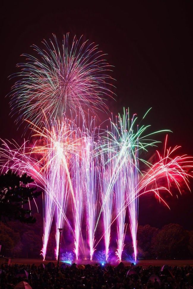 芽室の夜空彩った５０００発、来場者魅了　花火大会華音２０２４