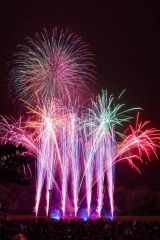 芽室の夜空彩った５０００発、来場者魅了　花火大会華音２０２４