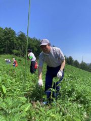 第一生命の森で植樹に取り組んだ参加者たち