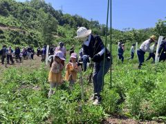 第一生命の森で植樹に取り組んだ参加者たち