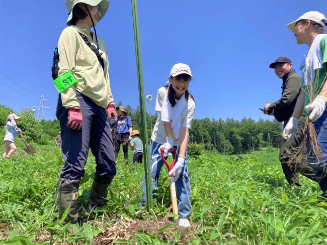 足寄で森づくり、ミズナラ５００本植樹　里見が丘の第一生命の森