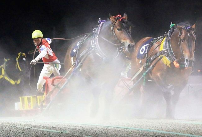 クリスタルコルド驚異末脚でゴール前逆転Ｖ、ばんえい旭川記念
