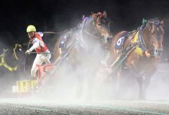 クリスタルコルド驚異末脚でゴール前逆転Ｖ、ばんえい旭川記念